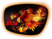 S128